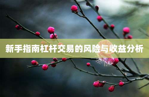 新手指南杠杆交易的风险与收益分析