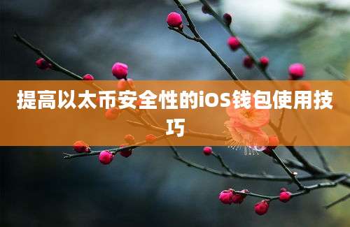 提高以太币安全性的iOS钱包使用技巧