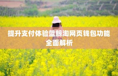 提升支付体验蓝鲸淘网页钱包功能全面解析