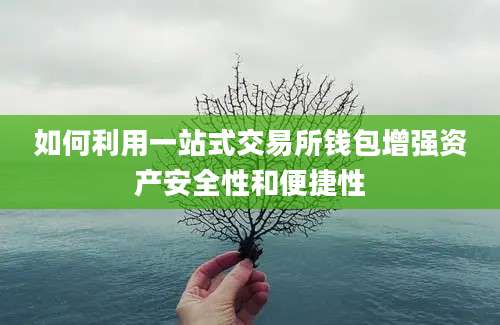 如何利用一站式交易所钱包增强资产安全性和便捷性