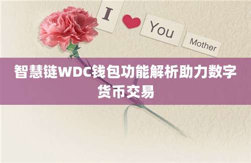 智慧链WDC钱包功能解析助力数字货币交易