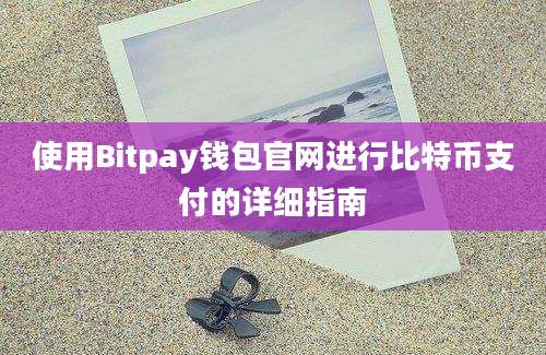 使用Bitpay钱包官网进行比特币支付的详细指南