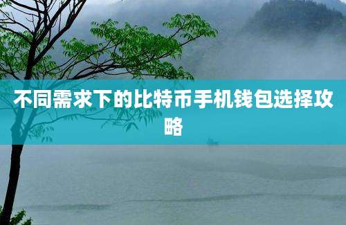 不同需求下的比特币手机钱包选择攻略