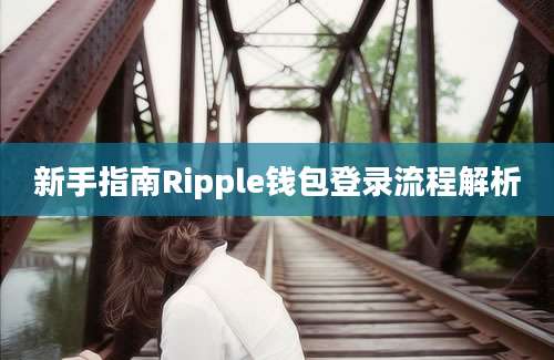 新手指南Ripple钱包登录流程解析