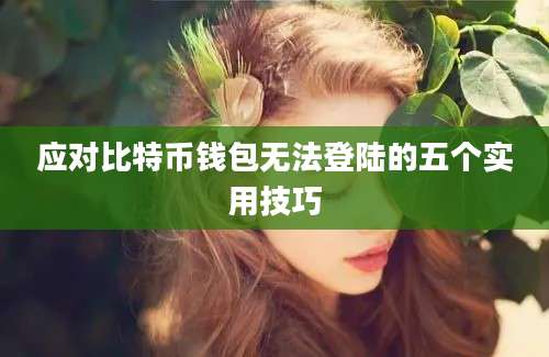 应对比特币钱包无法登陆的五个实用技巧