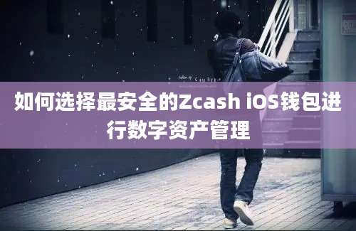 如何选择最安全的Zcash iOS钱包进行数字资产管理