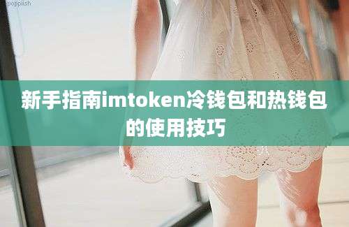 新手指南imtoken冷钱包和热钱包的使用技巧