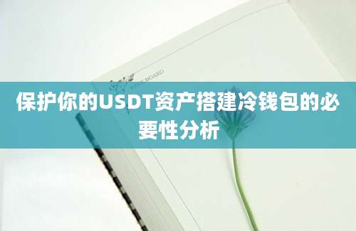 保护你的USDT资产搭建冷钱包的必要性分析