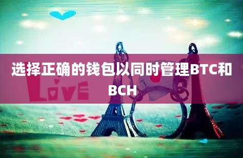 选择正确的钱包以同时管理BTC和BCH