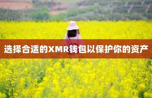 选择合适的XMR钱包以保护你的资产