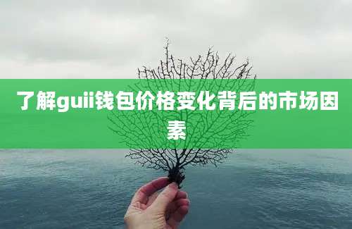 了解guii钱包价格变化背后的市场因素