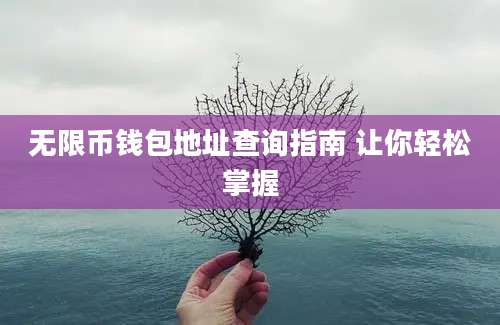 无限币钱包地址查询指南 让你轻松掌握