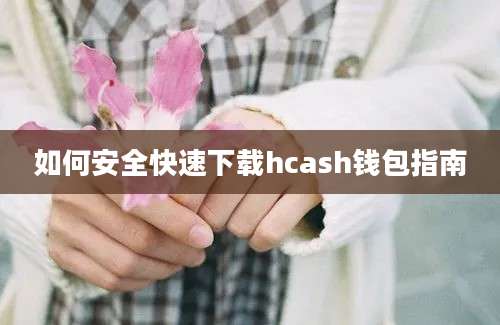 如何安全快速下载hcash钱包指南