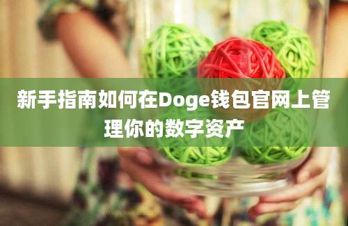 新手指南如何在Doge钱包官网上管理你的数字资产