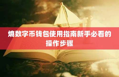 熵数字币钱包使用指南新手必看的操作步骤