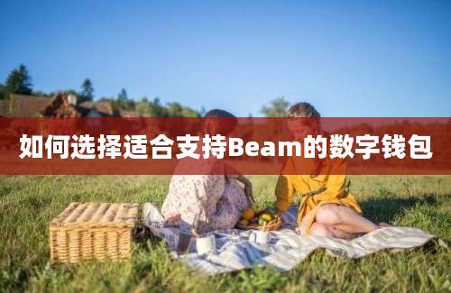 如何选择适合支持Beam的数字钱包