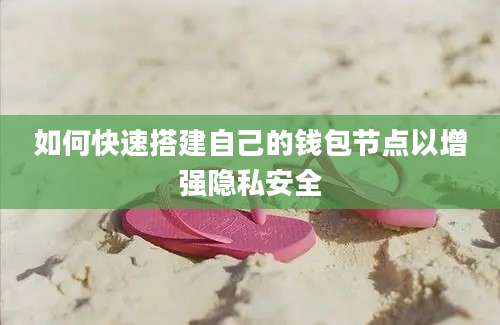 如何快速搭建自己的钱包节点以增强隐私安全