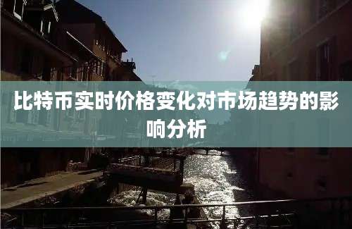 比特币实时价格变化对市场趋势的影响分析