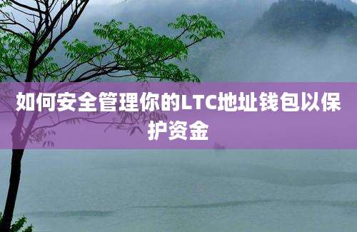 如何安全管理你的LTC地址钱包以保护资金