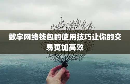 数字网络钱包的使用技巧让你的交易更加高效