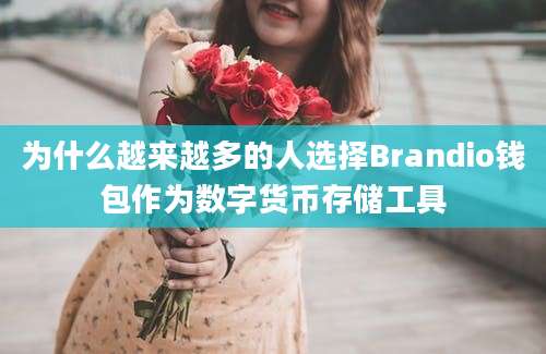 为什么越来越多的人选择Brandio钱包作为数字货币存储工具