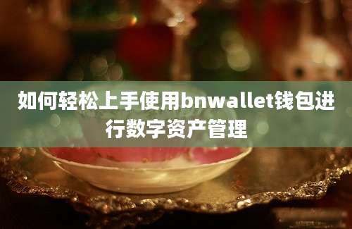 如何轻松上手使用bnwallet钱包进行数字资产管理