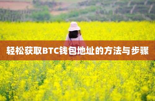 轻松获取BTC钱包地址的方法与步骤