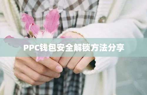 PPC钱包安全解锁方法分享