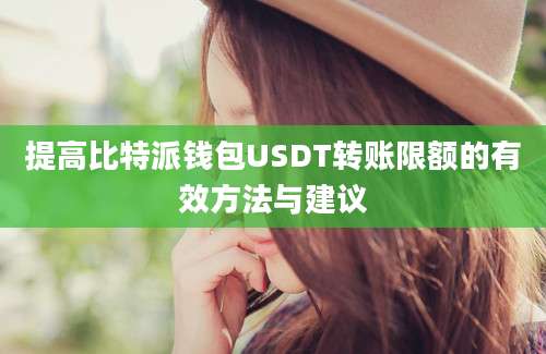 提高比特派钱包USDT转账限额的有效方法与建议