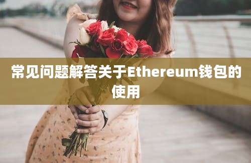 常见问题解答关于Ethereum钱包的使用