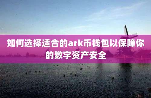 如何选择适合的ark币钱包以保障你的数字资产安全