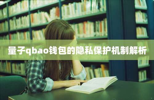 量子qbao钱包的隐私保护机制解析