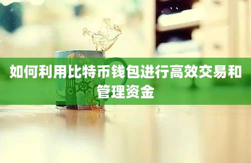 如何利用比特币钱包进行高效交易和管理资金