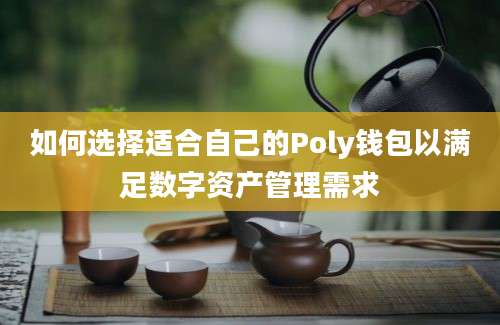 如何选择适合自己的Poly钱包以满足数字资产管理需求