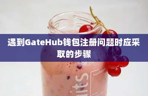 遇到GateHub钱包注册问题时应采取的步骤