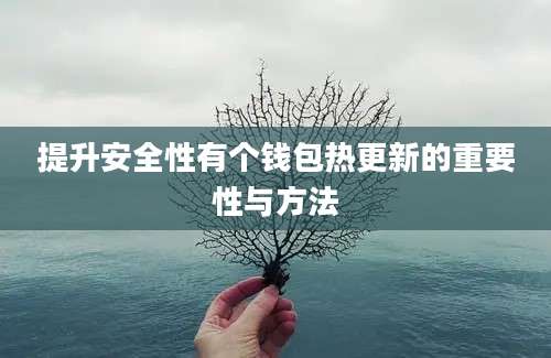 提升安全性有个钱包热更新的重要性与方法