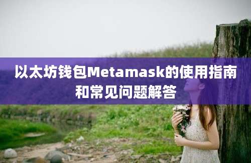 以太坊钱包Metamask的使用指南和常见问题解答