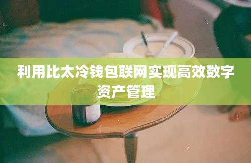 利用比太冷钱包联网实现高效数字资产管理