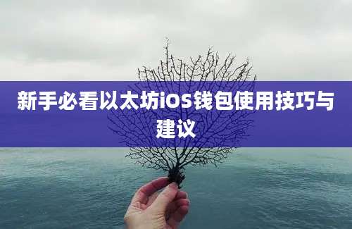 新手必看以太坊iOS钱包使用技巧与建议