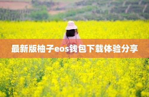 最新版柚子eos钱包下载体验分享