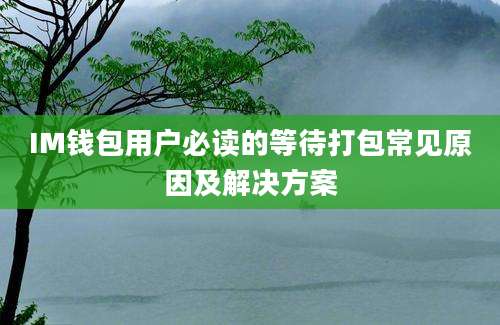 IM钱包用户必读的等待打包常见原因及解决方案