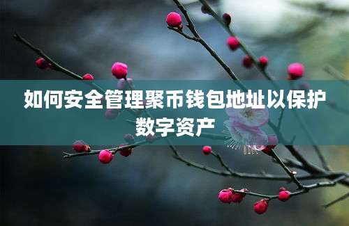 如何安全管理聚币钱包地址以保护数字资产