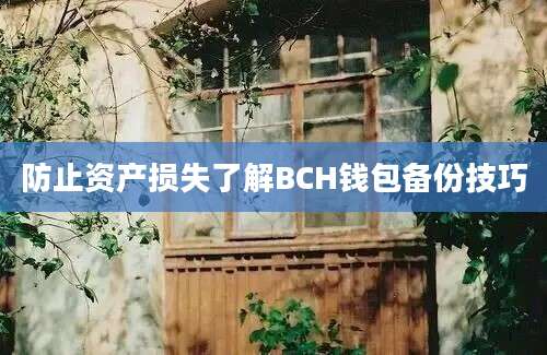 防止资产损失了解BCH钱包备份技巧