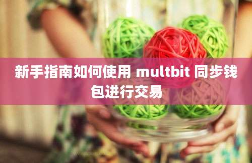 新手指南如何使用 multbit 同步钱包进行交易