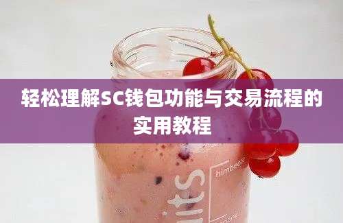 轻松理解SC钱包功能与交易流程的实用教程