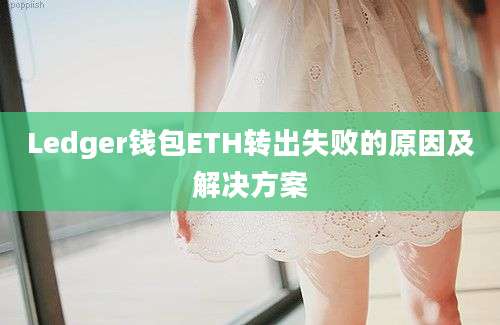 Ledger钱包ETH转出失败的原因及解决方案