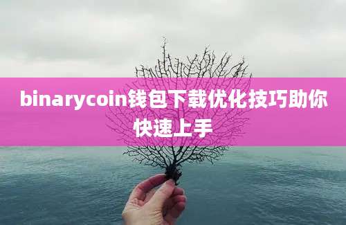 binarycoin钱包下载优化技巧助你快速上手