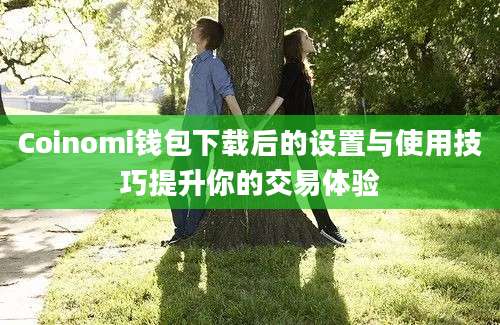 Coinomi钱包下载后的设置与使用技巧提升你的交易体验