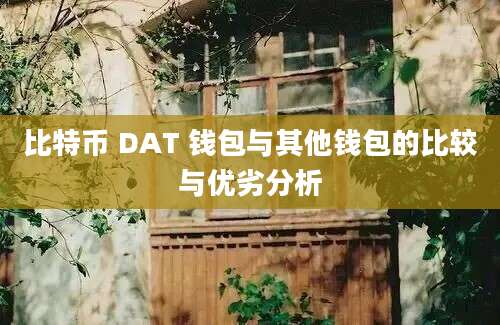 比特币 DAT 钱包与其他钱包的比较与优劣分析