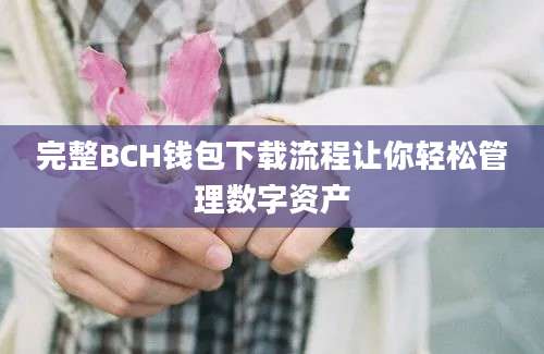 完整BCH钱包下载流程让你轻松管理数字资产